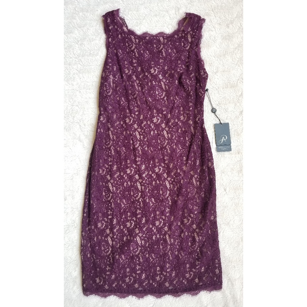 HOST PICK! Adrianna Papell lace sleeveless dress